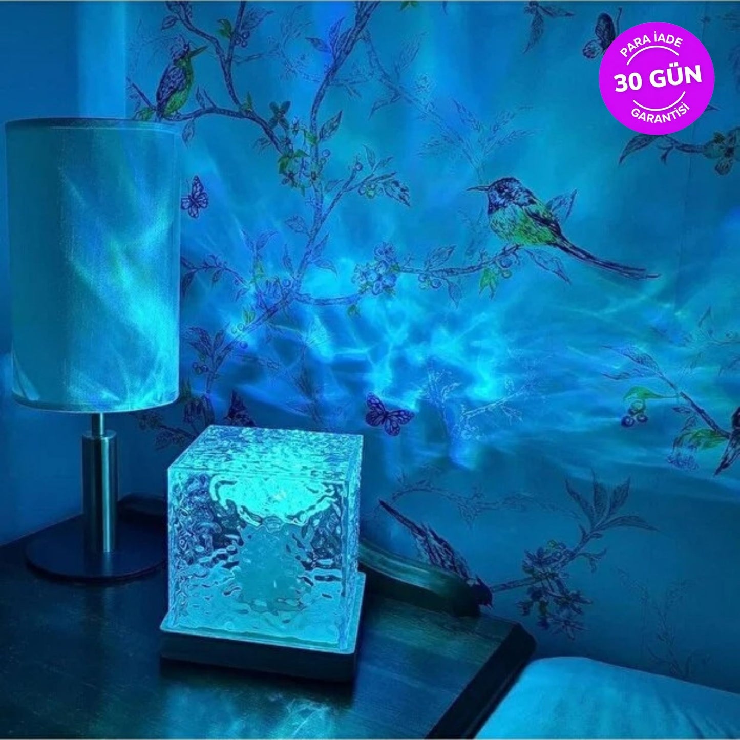 Color cove-Kuzey Işıklarını Odanızdan Seyredin